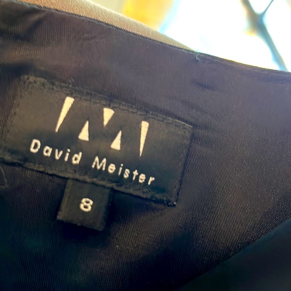 DAVID MEISTER DROP WAIST COCKTAIL SKIRT SZ 8. Beautiful! See fotos for easy fix - Picture 2 of 6